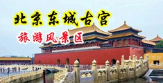 比利时大鸡巴操大逼逼中国北京-东城古宫旅游风景区